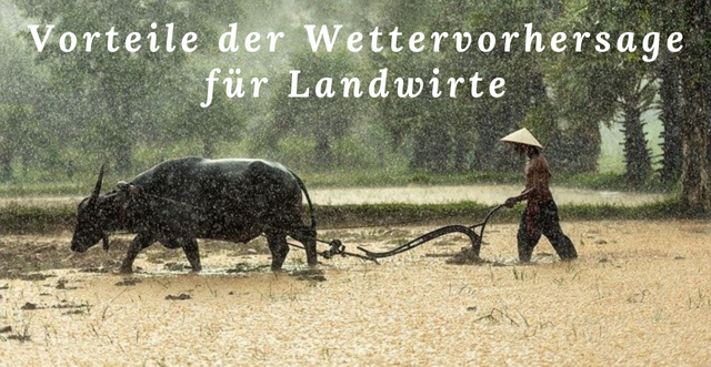 Regenradar für Landwirte